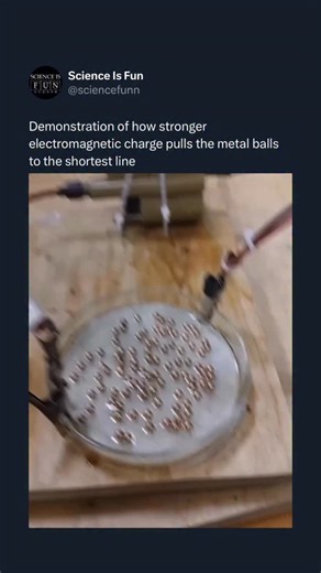 Science Is Fun By Tomas Rosko on Instagram: "It is caused by a salt water solution with electricity causing the balls to magnetize and connect pulling them to the shortest line of conductivity as that area has a stronger electromagnetic charge This content has been shared using Instagram Remix/Sequence feature from the content owner @physicist_and_engineer Follow us 👉 @sciencefunn for more science and daily facts.🤓 Enjoy the rest of your day.😇"
