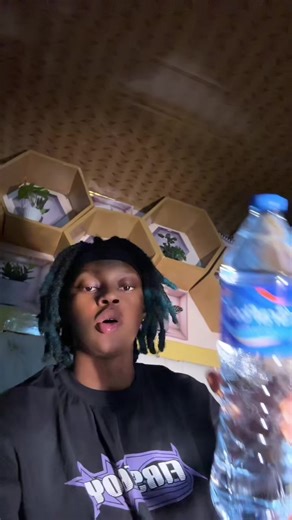 #stitch with @@MamaMedla Backup