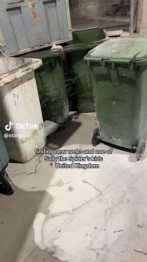 Discovering Aragog's Web in the UK