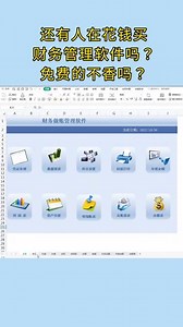 还有人在花钱买财务管理软件吗？免费的不香吗？这个财务做账系统输入数据，直接生成，还有银行，现金日记账等，内含公式方便快捷，扣“333”无偿拿走#财务 #会计 #会计实操 #知识分享 #出纳 #干货分享 #学习 #财务软件