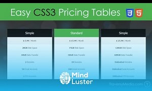 Mind Luster - Learn Easy Responsive CSS3 Pricing Tables