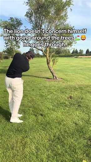 Golf Challenge: The Lion's Unconventional Play