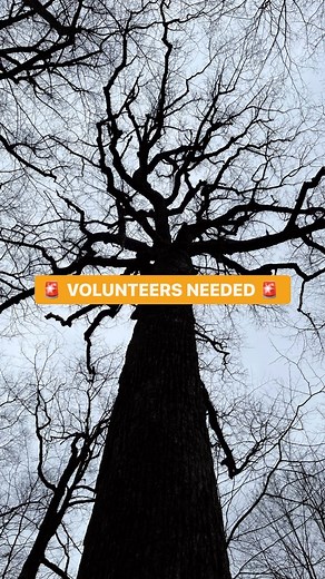 We need YOU 﫵 to help in our @adventurescientists Timber Tracking...