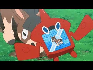 Mudbray Pokédex Entry..wmv