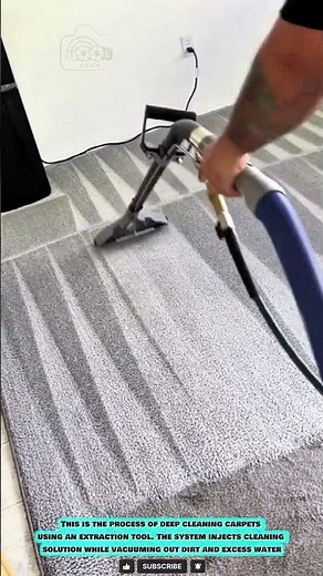 Teppichreinigungsgerät für eine gründliche und gleichmäßige Bodenreinigung
