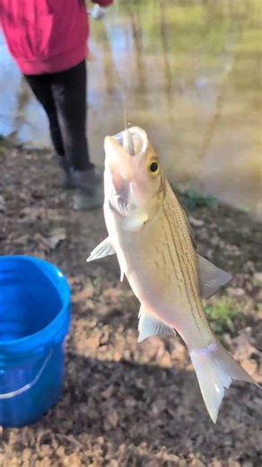 first fish of the year caught