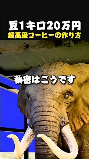 世界一変わったコーヒー