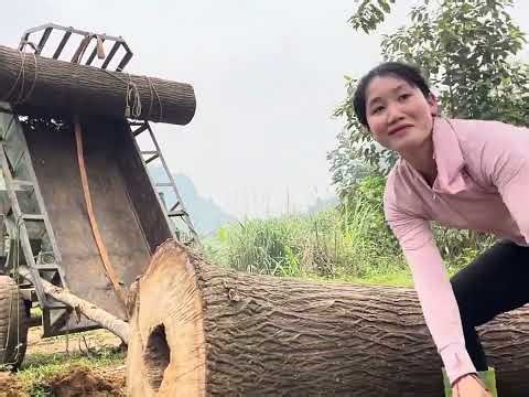 Transporting timber alone on country roads
