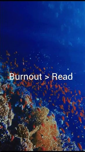 Here's some quick tips to improve your mood #gratitude #mentalharmony #happinesshabits