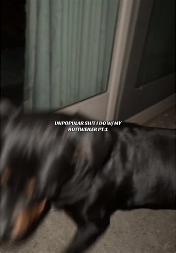 Bonding with My Rottweiler: Freedom and Trust