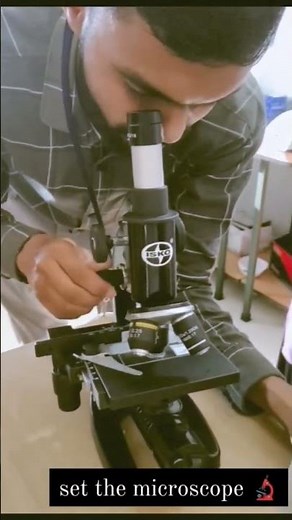 Set Up the microscope 🔬🔬🔬🔬