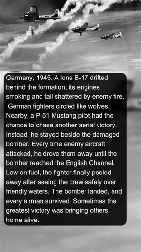 1 P-51 Pilot Escorted a Crippled Bomber Home Instead of Chasing Victory | Military History Talks
