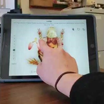 Why Classroom Dissection Is Harmful 🚫 | Unnecessary, Cruel & Outdated Practice