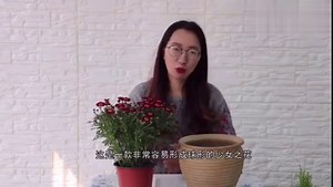 你和花开成海的距离只差一盆玛格丽特，你知道如何种植吗？
