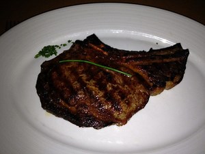 What To Do When You're Stranded on the Metra