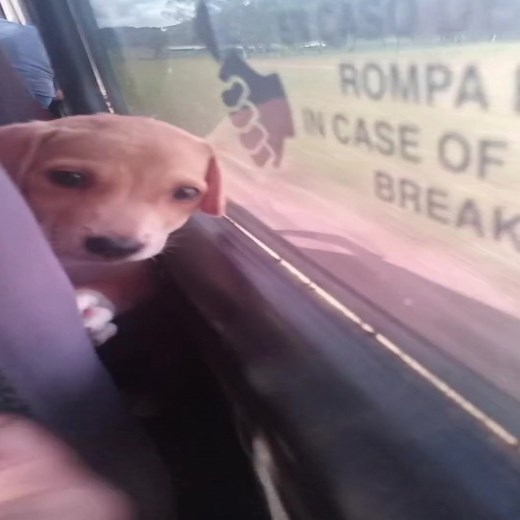 #corecore #alexg | sarah alex g