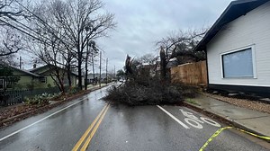 Austin-area cities offering tree limb, brush collections post-storm