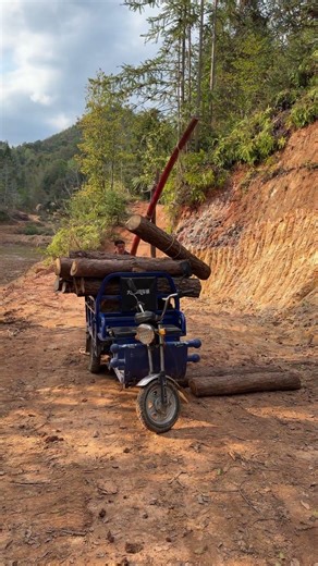 Load Logs Independently, DIY Lifting Tool