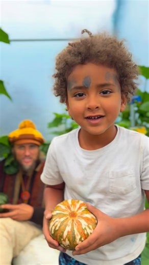 Baker Creek Heirloom Seeds on Instagram: "Ayote Green Squash is a sensational green meated treat that is perfect for autumn cooking. Sweeter and more fruitier than regular squash. Simply amazing. #Squash #pumpkin #pumpkins #pumpkinpie"
