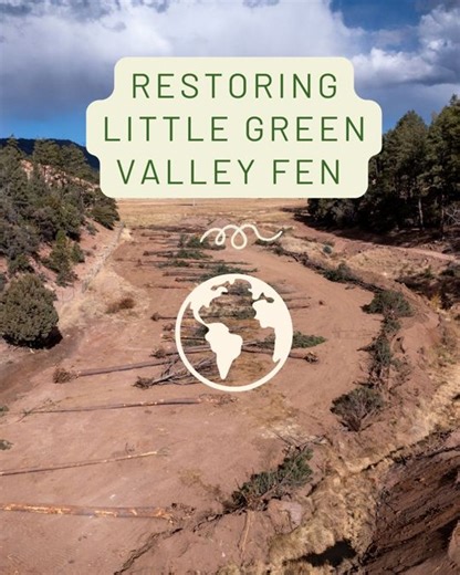 6.4K views · 69 reactions | Sometimes process-based restoration calls...