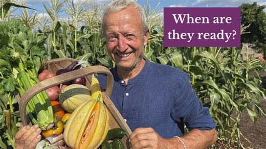 How to tell when vegetables are ready to harvest