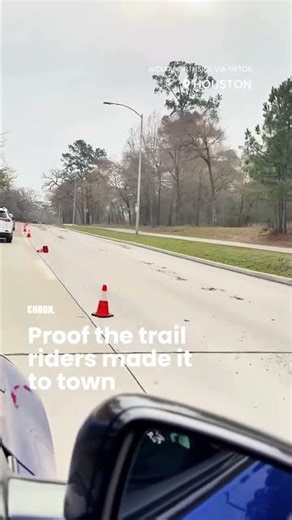 What happens after the trail riders arrive in Houston