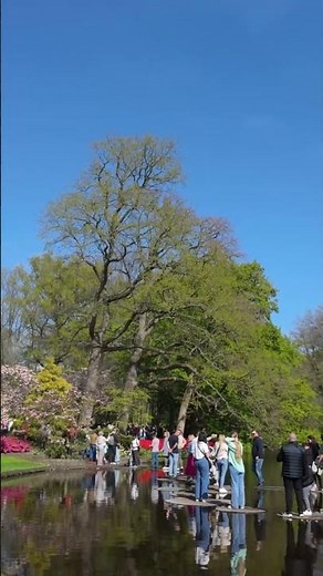 🌷 Keukenhof 2025🌷 Wonder Gardens Lisse