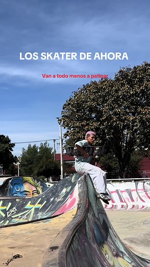 Skatepark #ollie #flip #skate #skateboarding #popshoveit #skater