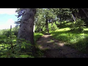 The Search for the Holy Trail