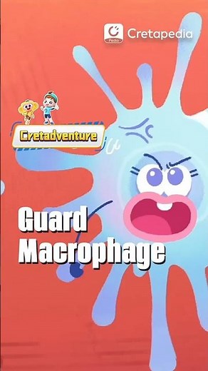 Guard of our body--Macrophage | Immune System
