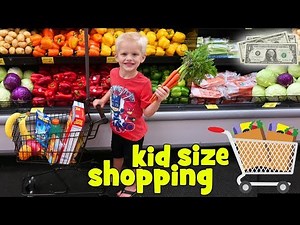 Family Grocery Shopping with Real Money!