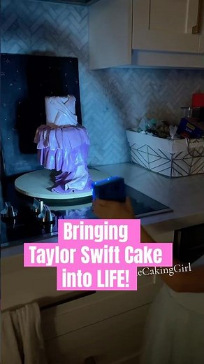 Taylor Swift Concert Cake!