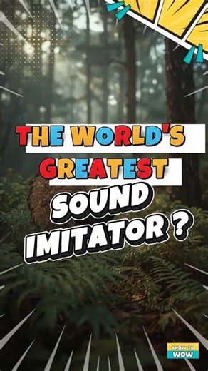 LYREBIRD MIMICRY The world's greatest sound imitator? 🐦 #Shorts