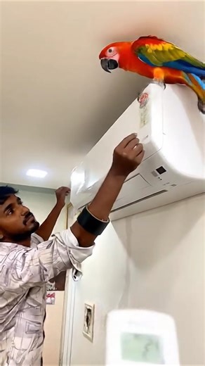 Ac installation @Zamzam_air_conditioner