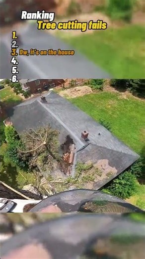 🌲 Tree Cutting Fails Compilation 😂 | Ultimate Chainsaw Fails & Funny Moments 2025