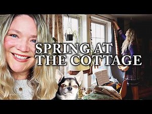 Life Lately // Spring decor in the cottage + (very) early garden progress
