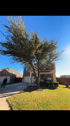 22 reactions | Some tree work today. #landscaping #treework | C.P. Yard Service | Facebook