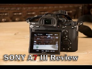 Sony A7III Camera Review