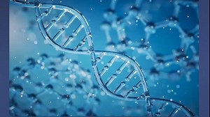 全球首个百亿参数可部署的基因组通用基础模型Genos发布