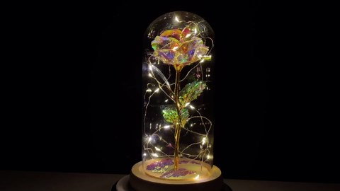 Galaxy Rose Flower Gift Beauty and The Beast Rose in Glass Dome with Lights Infinity Crystal Rose Flower Enchanted Glass Rose for Women
