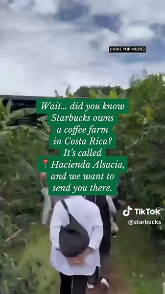 Become a Starbucks Global Coffee Creator