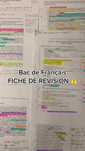 Fiche de Révision Bac Français : Olympe de Gouges