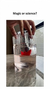 356K views · 550 reactions | Sarcasm on Reels | Facebook