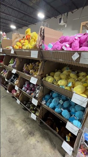 This Online Claw Machine SHIPS Your Prizes!