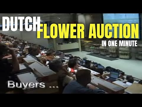 Daily flower auction in Netherlands - Fastest auction in Europe?