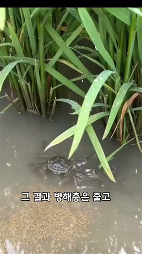 모래 아님 ⚠️ 전부 살아있음