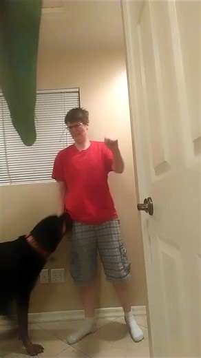 229K views · 4.7K reactions | The bond between a service dog and their handler is truly remarkable #ServiceDog #Dogs #AmazingAnimals | The Pet Collective | Facebook