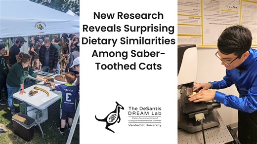 New Research Reveals Surprising Dietary Similarities Among Saber-Toothed Cats—Plus, Join Us for a Special Kids’ Day Event at Bridgestone Arena!