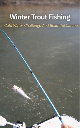 Winter trout fishing cold water challenge and beautiful catches