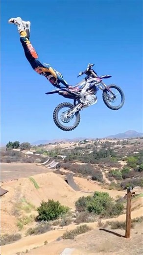 Art in motion